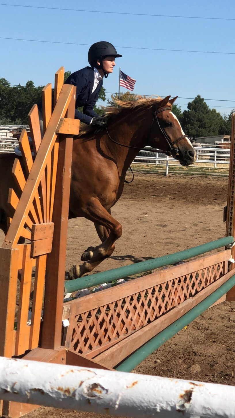 Hunter/Jumper Equestrian Riding Riverton Utah