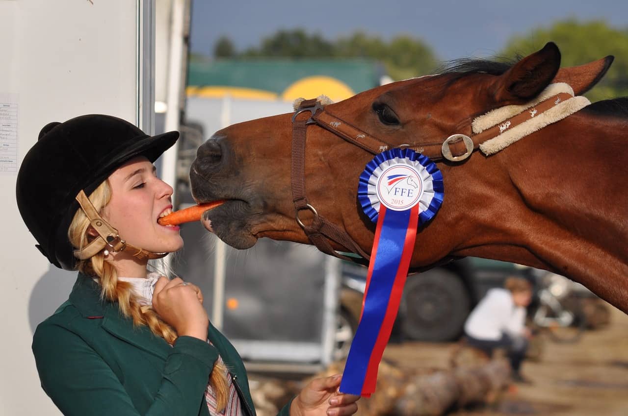 horse, girl, winner, showing, jumper, hunter