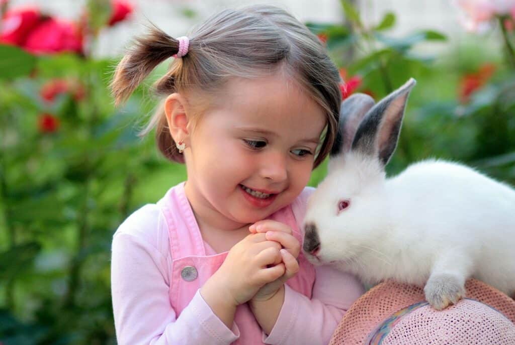 girl, rabbit, friendship