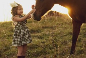 horse, sunset, girl